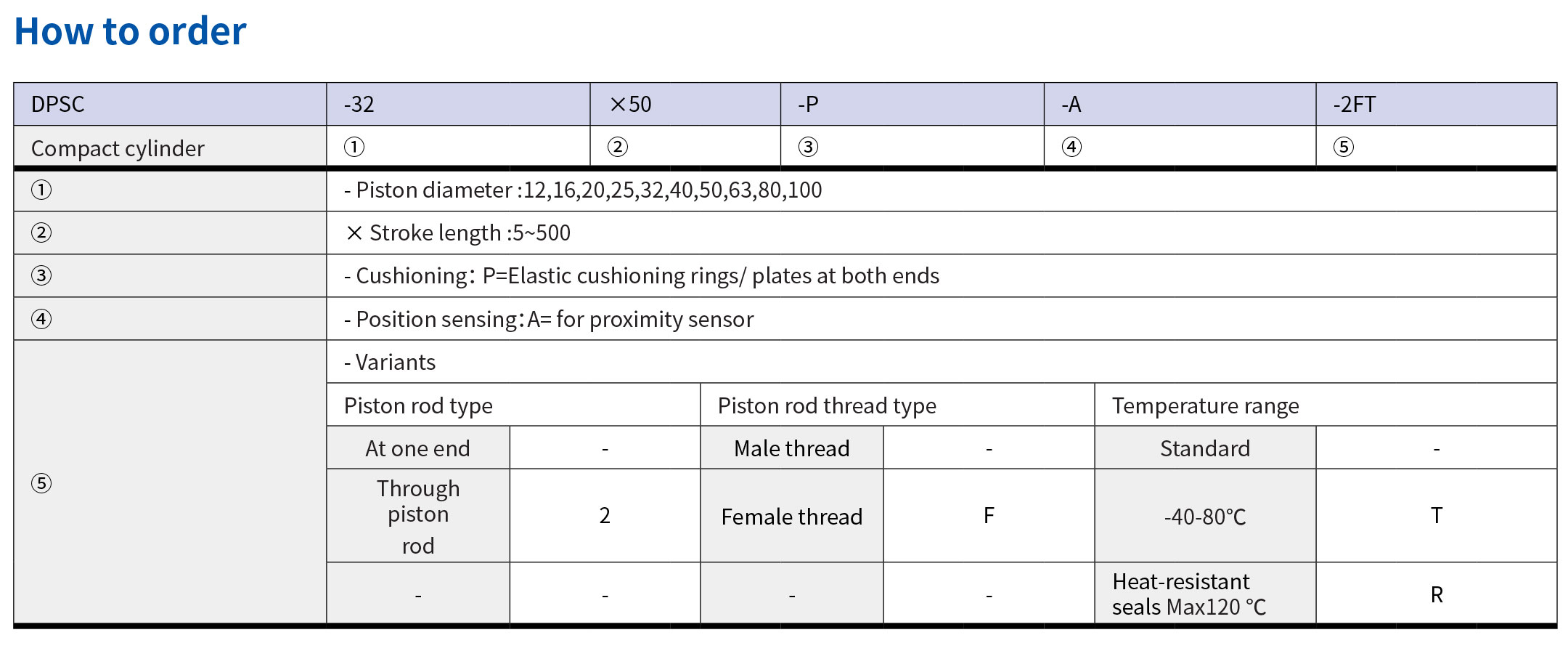 DPSC-1_06.jpg