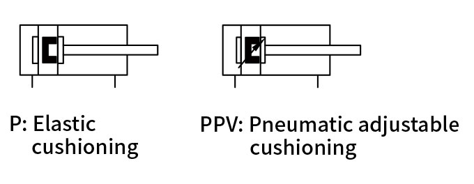 DPSP-1_03.jpg